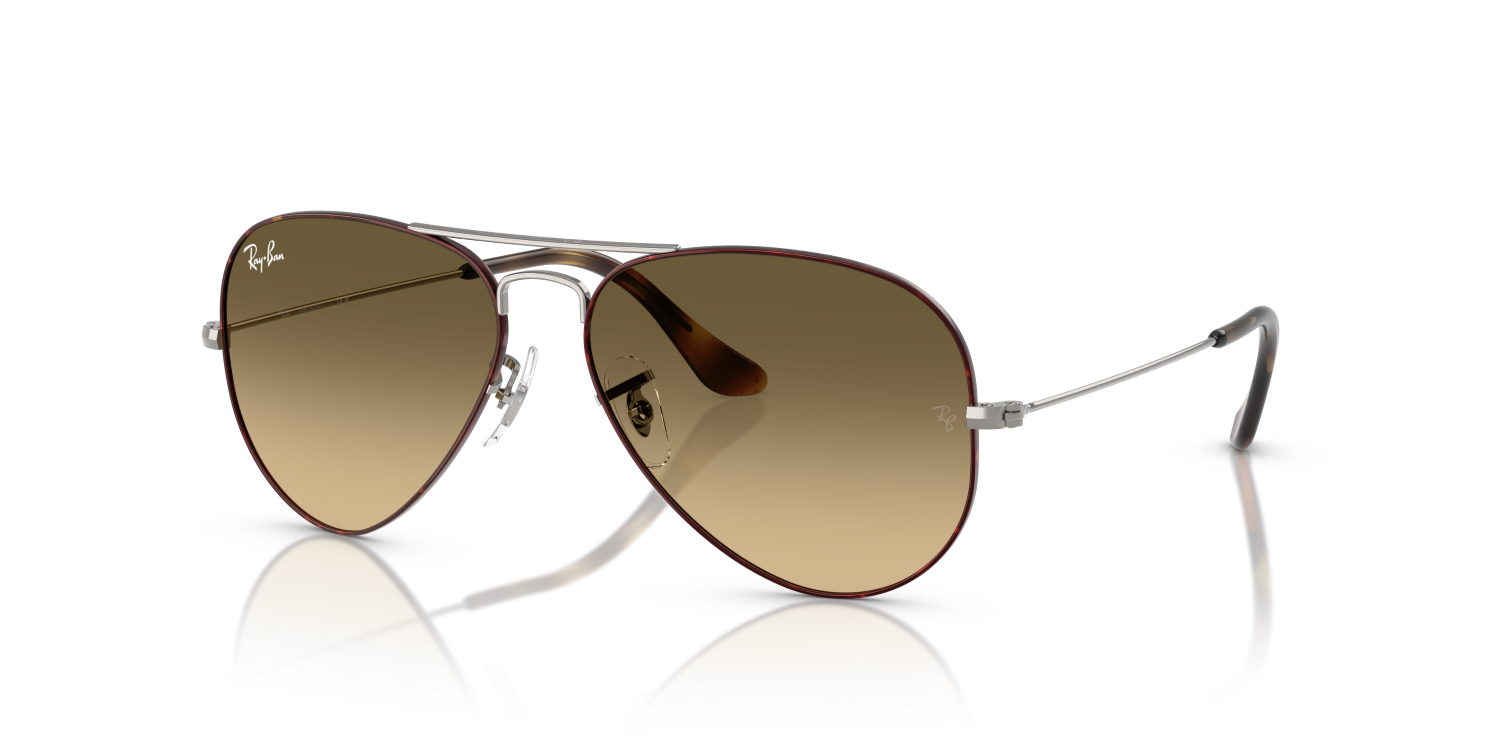 Ray-Ban AVIATOR RB3025 - Havana On Gunmetal / Tortoise