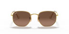 Ray-Ban HEXAGONAL RB3548N - Arista Gold / Gold