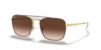 Ray-Ban RB3588 - Brown On Gold / Brown