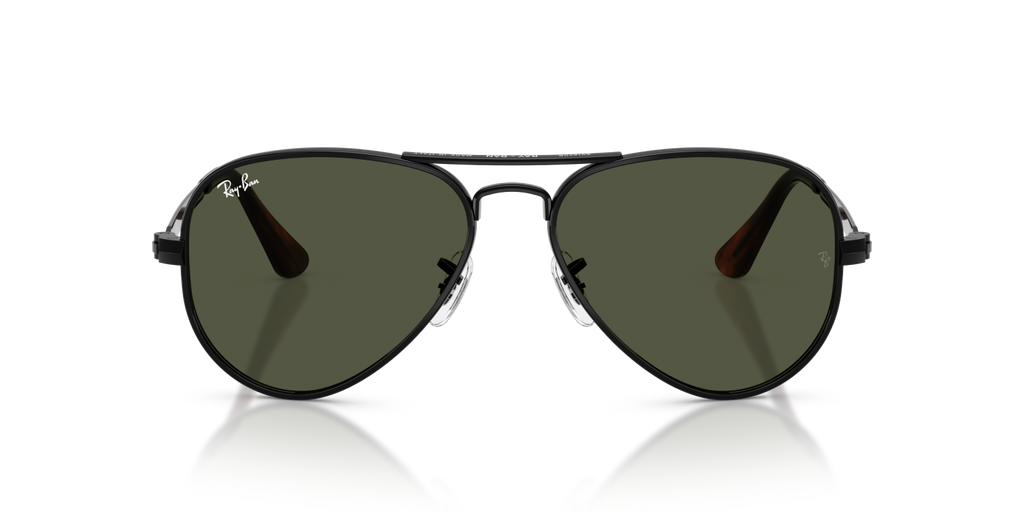 Ray-Ban AVIATOR MAX RB3925 - Black / Black