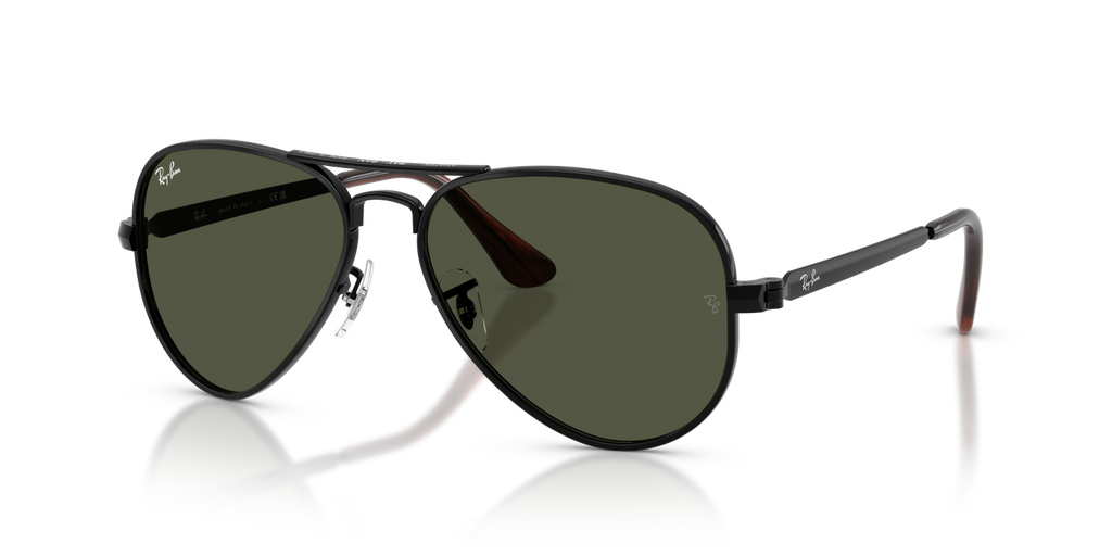 Ray-Ban AVIATOR MAX RB3925 - Black / Black