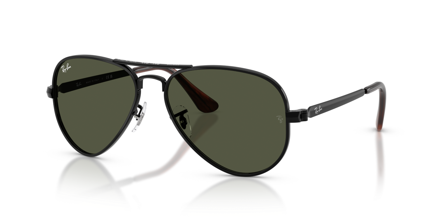 Ray-Ban AVIATOR MAX RB3925 - Black / Black