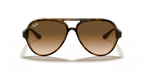 Ray-Ban CATS 5000 RB4125 - Light Havana / Tortoise