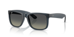 Ray-Ban JUSTIN RB4165 - Rubber Blue / Blue
