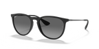 Ray-Ban ERIKA RB4171 - Rubber Black / Black