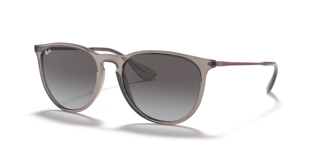 Ray-Ban ERIKA RB4171 - Transparent Grey / Grey