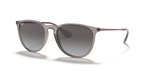 Ray-Ban ERIKA RB4171 - Transparent Grey / Grey