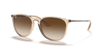Ray-Ban ERIKA RB4171 - Transparent Brown / Brown