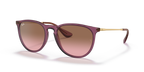 Ray-Ban ERIKA RB4171 - Transparent Violet / Violet