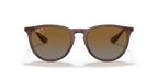 Ray-Ban ERIKA RB4171 - Transparent Dark Brown / Brown