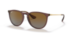 Ray-Ban ERIKA RB4171 - Transparent Dark Brown / Brown