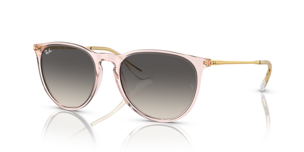 Ray-Ban ERIKA RB4171 - Transparent Pink / Pink