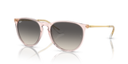 Ray-Ban ERIKA RB4171 - Transparent Pink / Pink