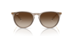 Ray-Ban ERIKA RB4171 - Transparent Light Brown / Brown