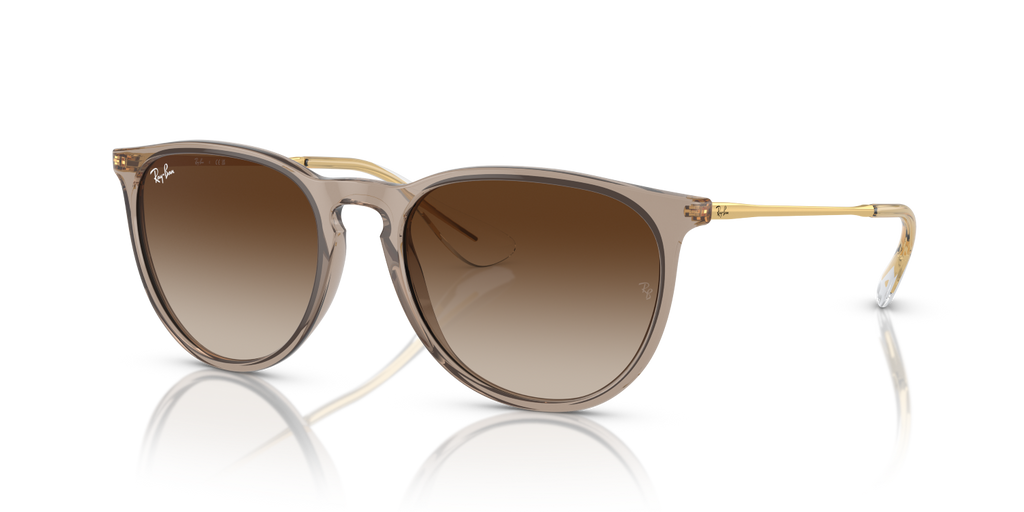 Ray-Ban ERIKA RB4171 - Transparent Light Brown / Brown