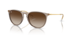 Ray-Ban ERIKA RB4171 - Transparent Light Brown / Brown