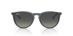 Ray-Ban ERIKA RB4171 - Rubber Blue / Blue