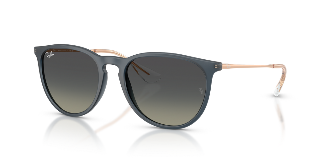 Ray-Ban ERIKA RB4171 - Rubber Blue / Blue