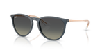 Ray-Ban ERIKA RB4171 - Rubber Blue / Blue