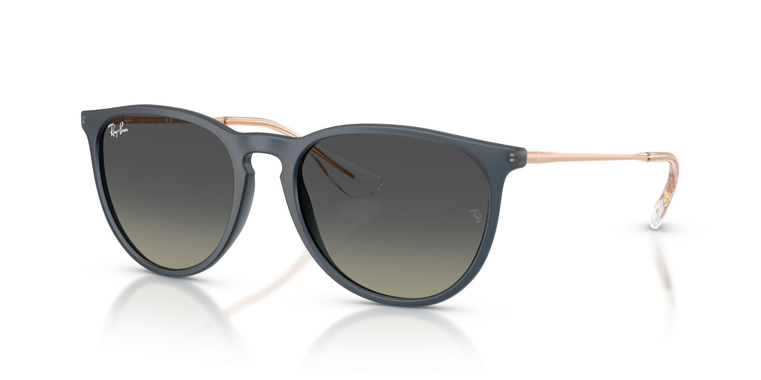 Ray-Ban ERIKA RB4171 - Rubber Blue / Blue