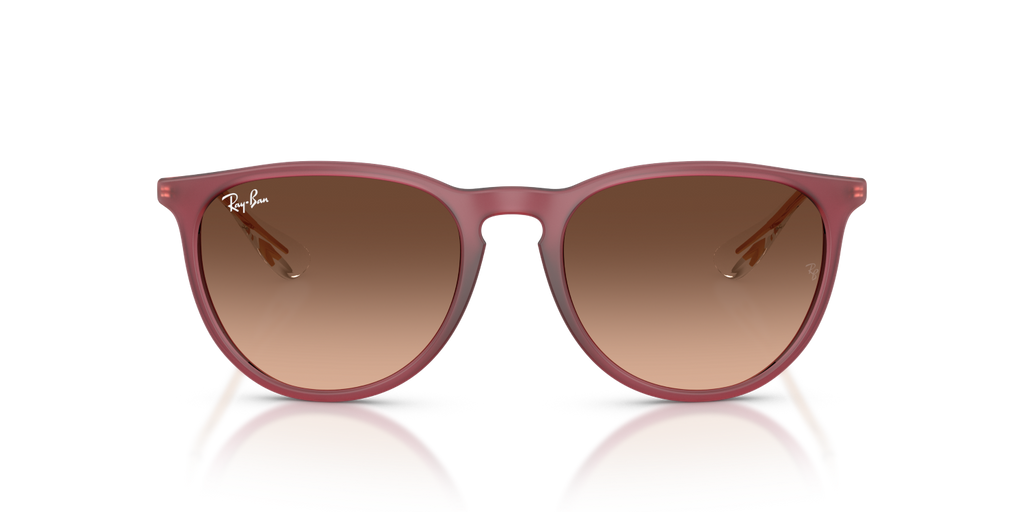 Ray-Ban ERIKA RB4171 - Rubber Violet / Violet