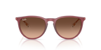 Ray-Ban ERIKA RB4171 - Rubber Violet / Violet