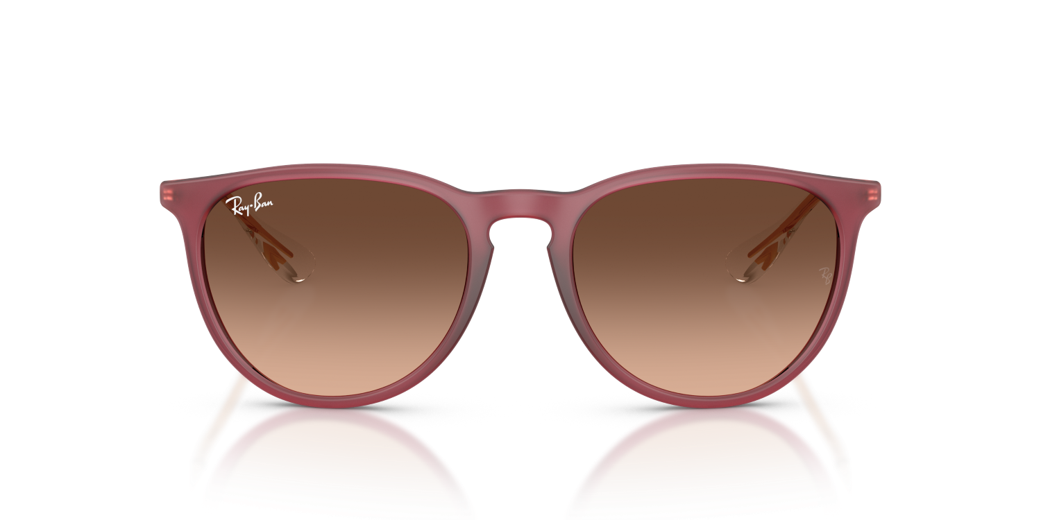 Ray-Ban ERIKA RB4171 - Rubber Violet / Violet
