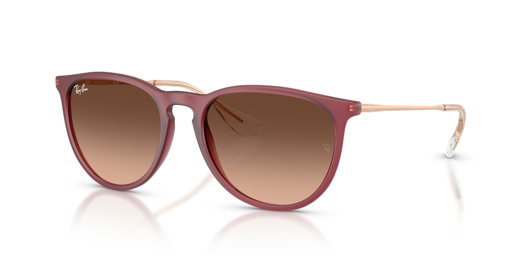 Ray-Ban ERIKA RB4171 - Rubber Violet / Violet