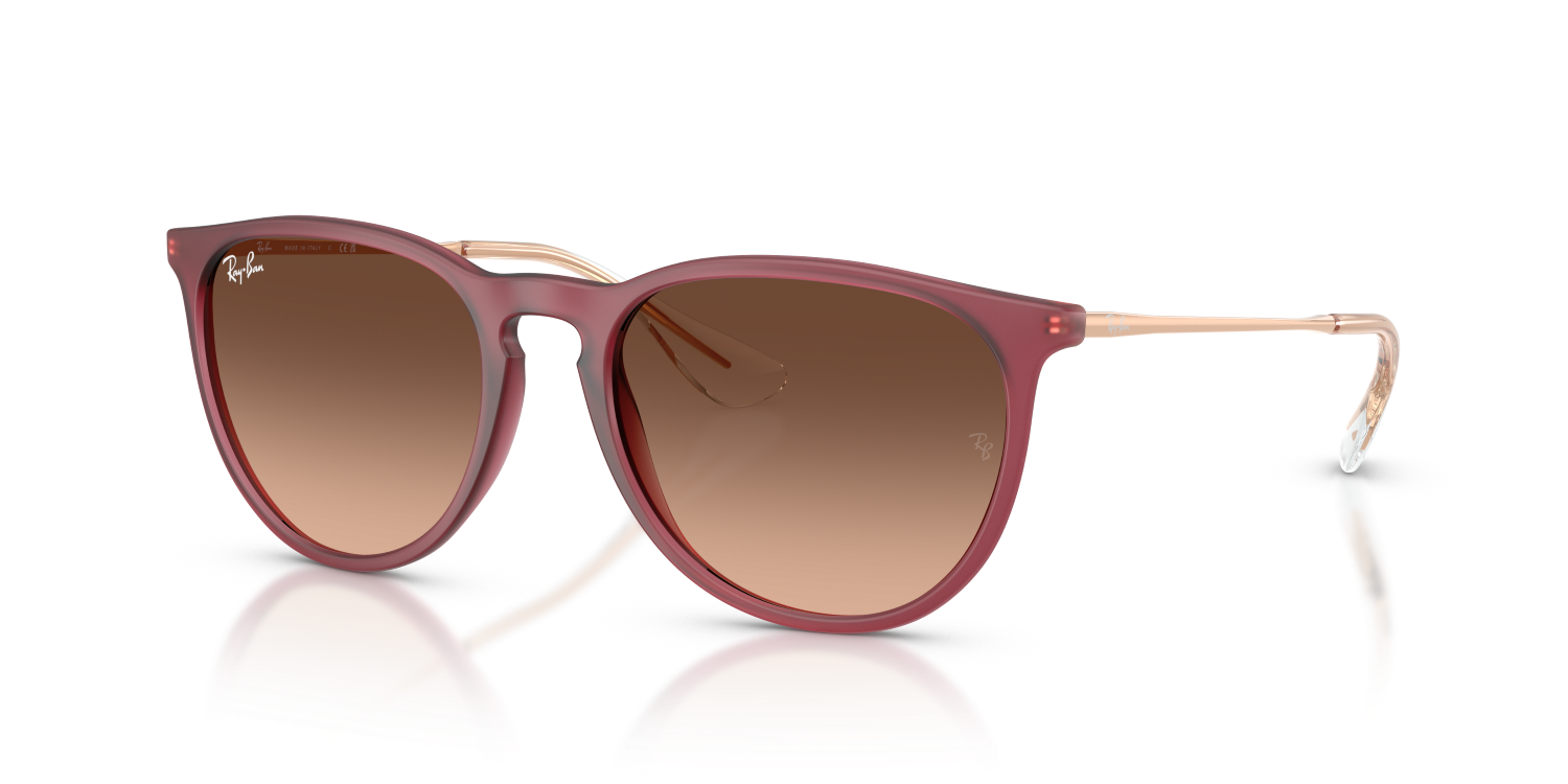 Ray-Ban ERIKA RB4171 - Rubber Violet / Violet