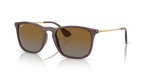 Ray-Ban CHRIS RB4187 - Transparent Brown / Brown