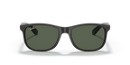 Ray-Ban ANDY RB4202 - Black / Black