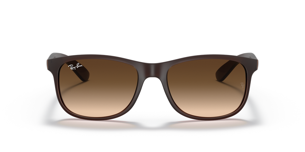 Ray-Ban ANDY RB4202 - Brown / Brown