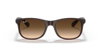 Ray-Ban ANDY RB4202 - Brown / Brown