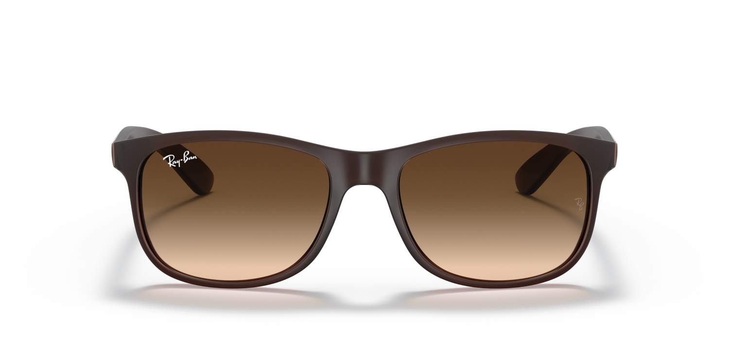 Ray-Ban ANDY RB4202 - Brown / Brown
