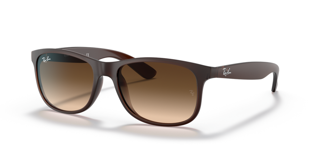 Ray-Ban ANDY RB4202 - Brown / Brown
