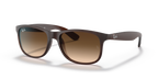 Ray-Ban ANDY RB4202 - Brown / Brown