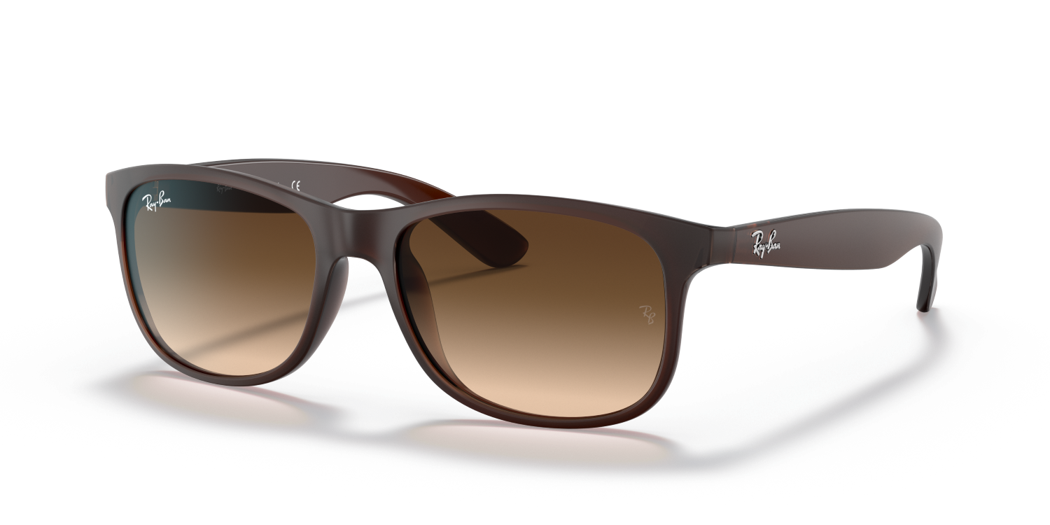 Ray-Ban ANDY RB4202 - Brown / Brown