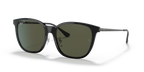 Ray-Ban RB4333D - Black / Black