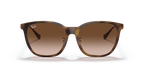 Ray-Ban RB4333D - Light Havana / Tortoise