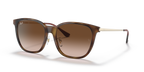Ray-Ban RB4333D - Light Havana / Tortoise