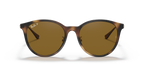 Ray-Ban RB4334D - Light Havana / Tortoise