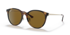 Ray-Ban RB4334D - Light Havana / Tortoise