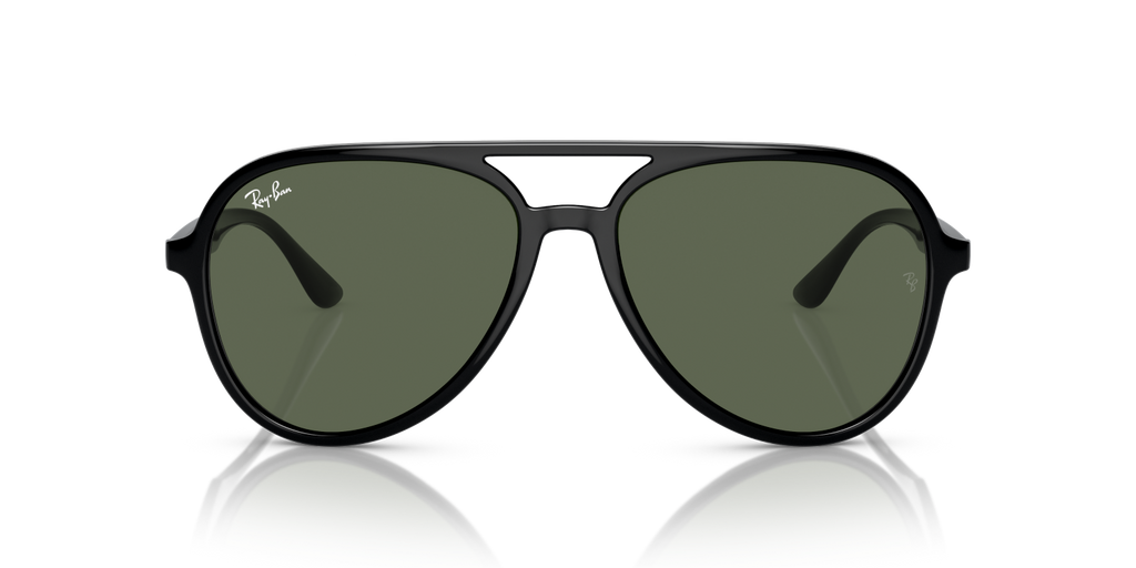 Ray-Ban RB4376 - Black / Black