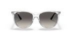 Ray-Ban RB4378 - Transparent / Transparent