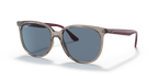 Ray-Ban RB4378 - Transparent Grey / Grey
