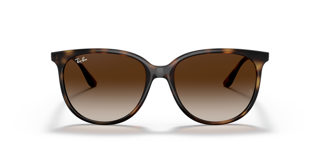 Ray-Ban RB4378 - Havana / Tortoise