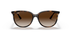 Ray-Ban RB4378 - Havana / Tortoise