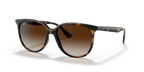 Ray-Ban RB4378 - Havana / Tortoise