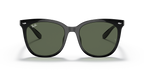 Ray-Ban RB4379D - Black / Black