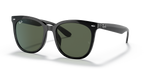 Ray-Ban RB4379D - Black / Black